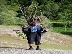 260 kişi 90 yaşın üzerinde